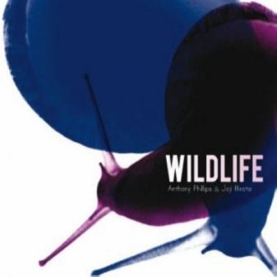 Anthony Phillips & Joji Hirota > Wildlife